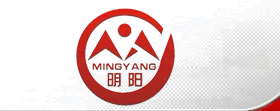 Qinghe County Mingsheng Auto Parts Co.,Ltd.