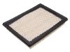 Filtro de aire Air Filter:16546-AA030