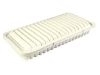 Air Filter:17801-0G010