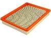 Air Filter:25096932