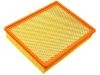 Filtro de aire Air Filter:15908915