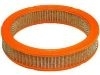 Filtro de aire Air Filter:83500999