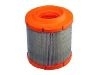 Air Filter:04891097AA