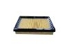 Air Filter:BJ01-13-Z40