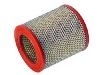 Filtro de aire Air Filter:1384034