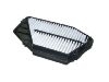 Filtro de aire Air Filter:17220-P0A-G00