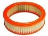 Air Filter:25040881