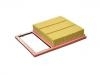 Air Filter:DG9Z-9601-A