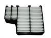 Luftfilter Air Filter:1109120-SA02