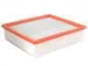 Air Filter:V1119019001A0