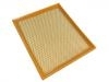 Air Filter:A00039687