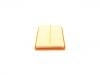 Luftfilter Air Filter:30071028