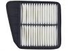 воздушный фильтр Air Filter:1109120-VC05