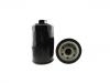 Oil Filter:1010320FB