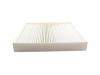 Filter, Innenraumluft Cabin Air Filter:10193220