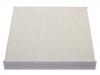 Filtro, aire habitáculo Cabin Air Filter:500042992