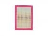 Filtro de aire Air Filter:151000079AA